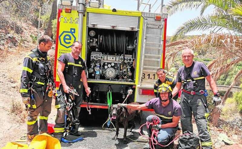 Bomberos rescatan a un perro abandonado en un barranco del municipio/TA.